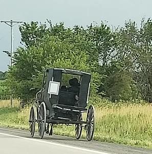 Meet your Posher, Matt